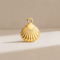 Charm Coquille