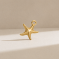 Charm étoile de mer